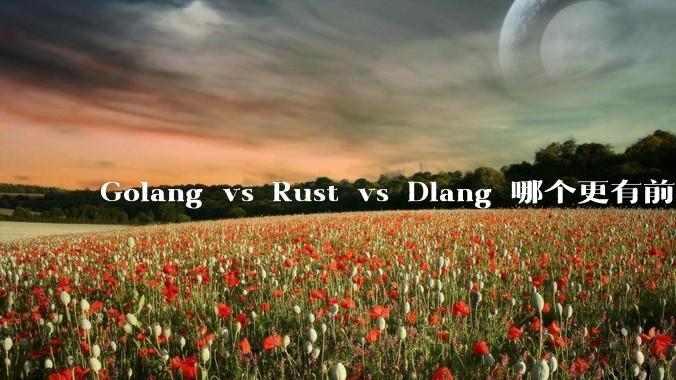 Golang vs Rust vs Dlang 哪个更有前途，哪位大牛这 3 门语言都用过？