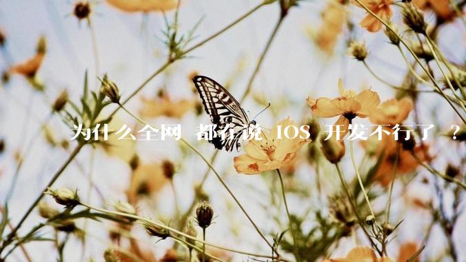 为什么全网 都在说 iOS 开发不行了 ？