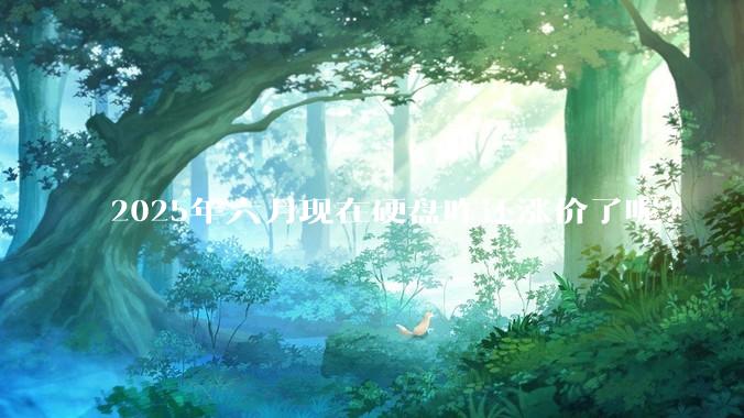 2025年六月现在硬盘咋还涨价了呢？