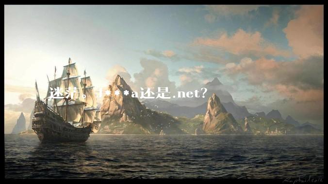 迷茫。J***a还是.net？
