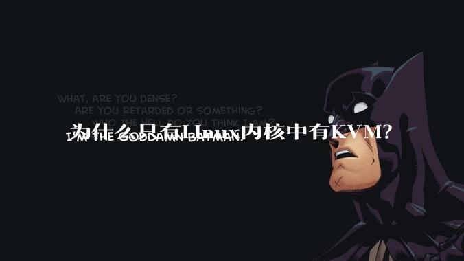 为什么只有Linux内核中有KVM？