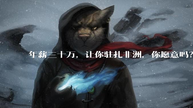 年薪三十万，让你驻扎非洲，你愿意吗？