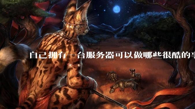 自己拥有一台服务器可以做哪些很酷的事情？