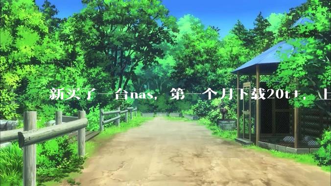 新买了一台nas，第一个月下载20t+，上传5+，不会被网警盯上吧?