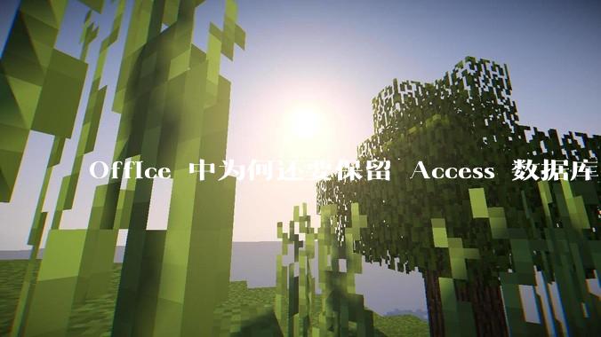 Office 中为何还要保留 Access 数据库?