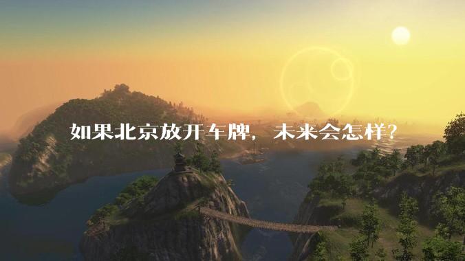 如果北京放开车牌，未来会怎样？