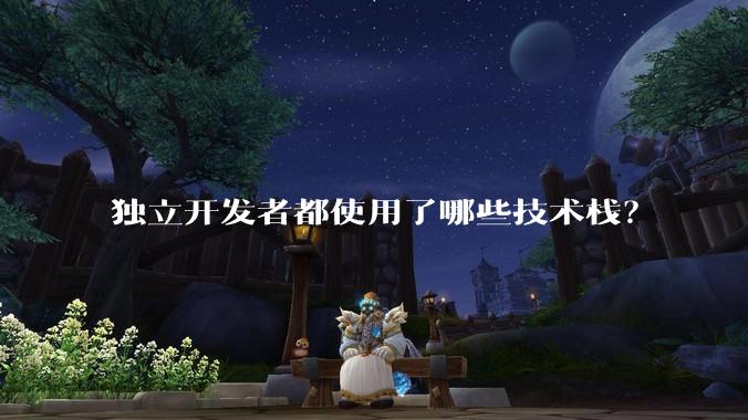 独立开发者都使用了哪些技术栈？