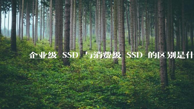 企业级 SSD 与消费级 SSD 的区别是什么？