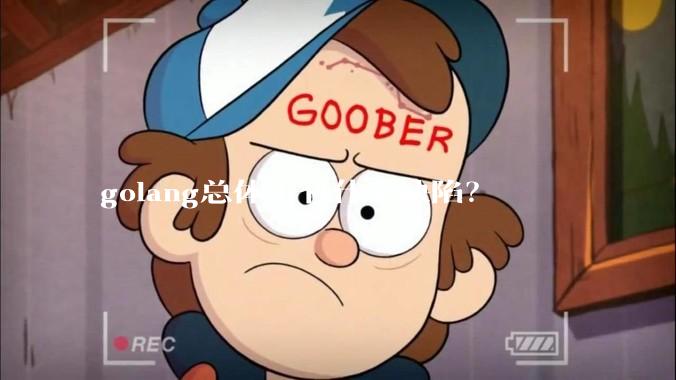 golang总体上有什么缺陷？