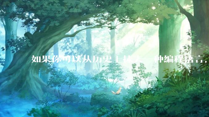 如果你可以从历史上抹去一种编程语言，你会选择哪个？