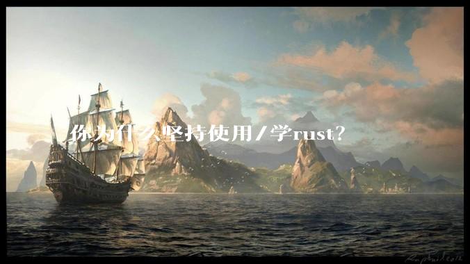 你为什么坚持使用/学rust？