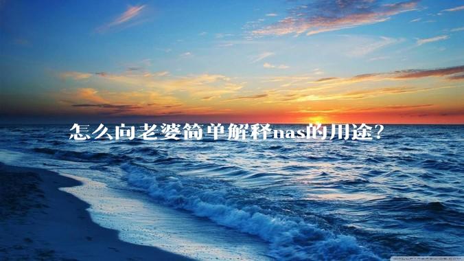 怎么向老婆简单解释nas的用途？